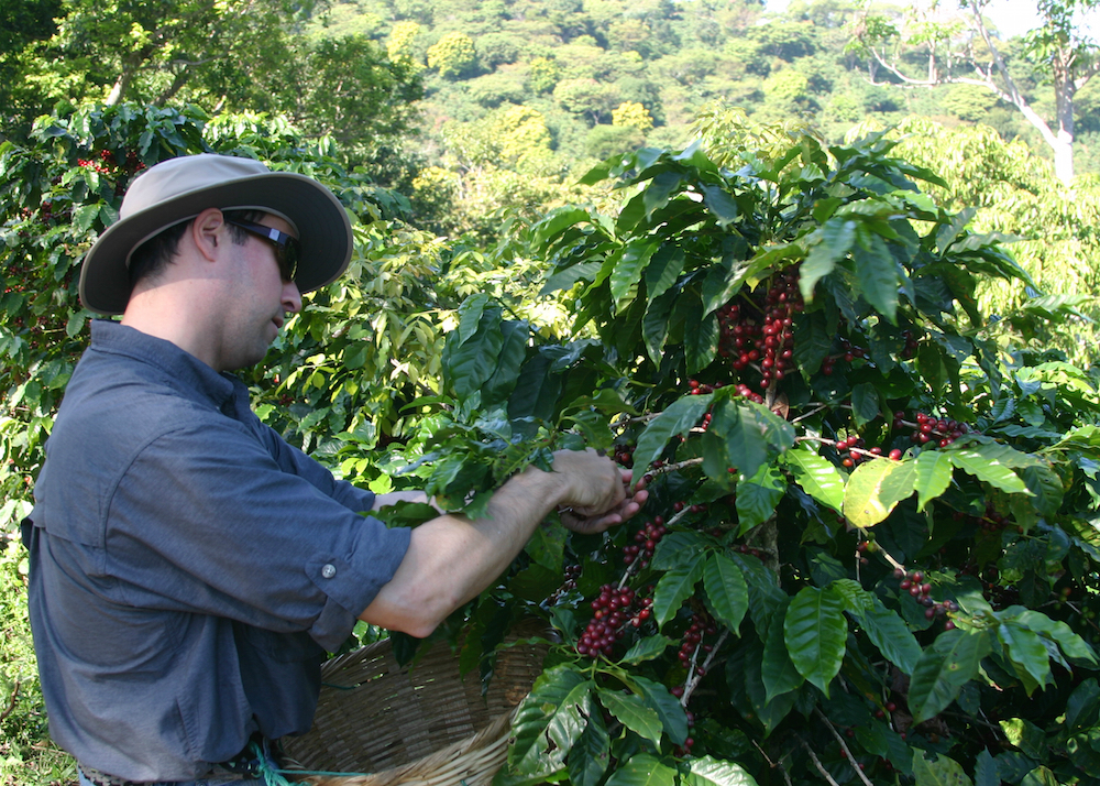 editEl Salvador - Coffee Trip 177