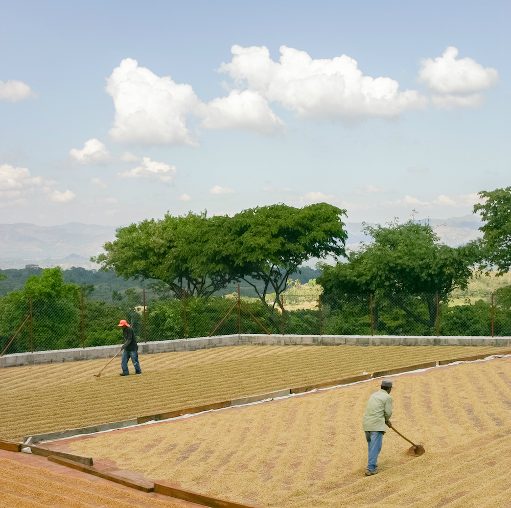 editEl Salvador - Coffee Trip 287