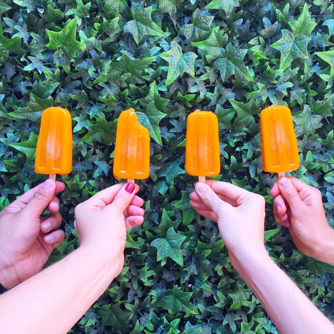 Popsicles that Make Healthy Cool | The Bay Club Blog