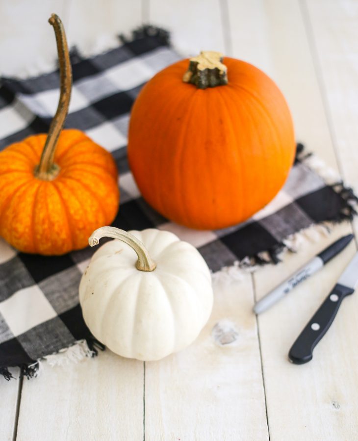 Fall is Our Favorite for Good Food and Family Time | The Bay Club Blog